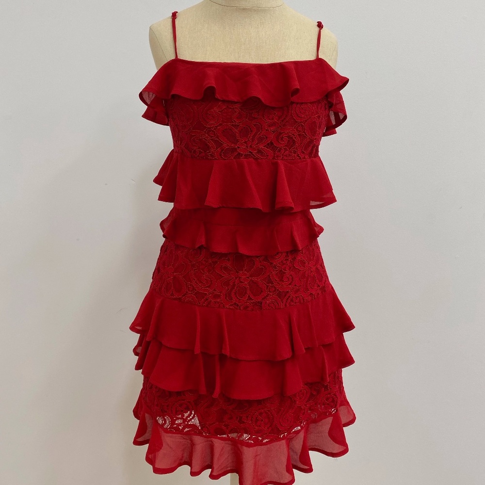 Tobi Red Lace dress
